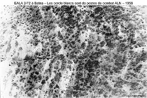 180- ARMEE DE L'AIR EN ALGERIE 1945-1962-28 (84)